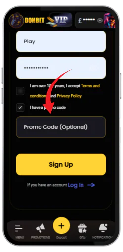 Section for entering a promo code